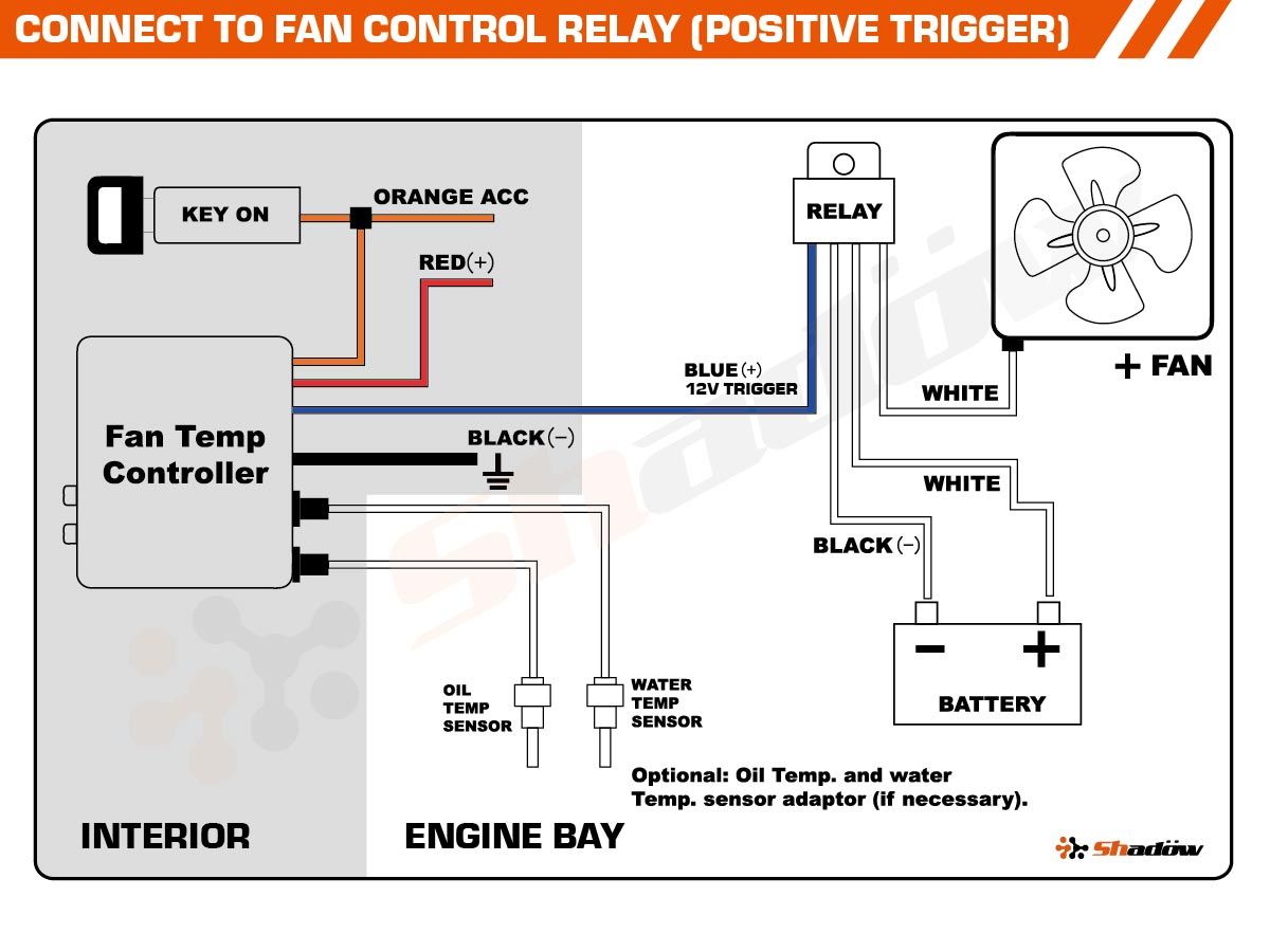 Positive_Control_diagram